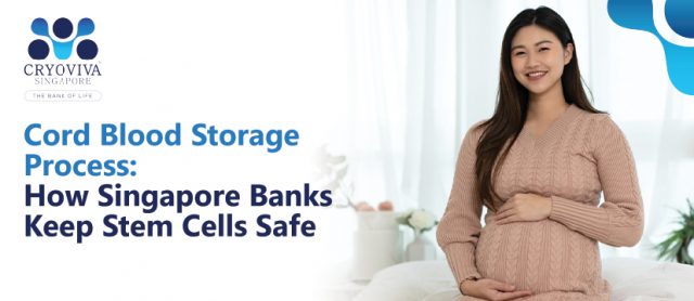Cord Blood Storage Process: How Singapore Banks Keep Stem Cells Safe​