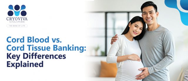 Read more about the article Cord Blood vs Cord Tissue: Key Differences Explained​