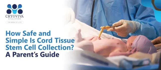 How Safe and Simple Is Cord Tissue Stem Cell Collection? A Parent’s Guide
