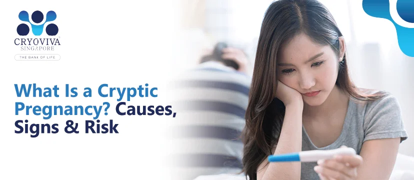Read more about the article What Is a Cryptic Pregnancy? Causes, Signs & Risk